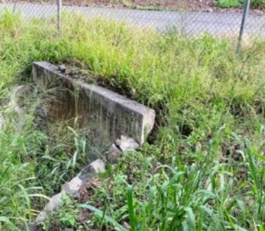 Grassy entrance to a culvert under a roadway.